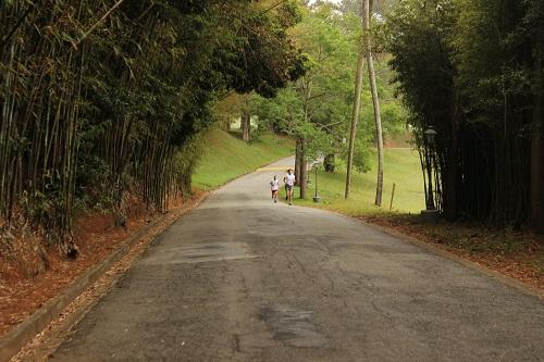 Clube do campo de São Paulo / Foto: Divulgação